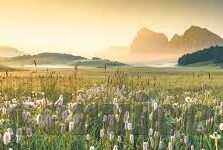 澳门赌场牌照是谁的-澳门赌场牌照的归属与变迁